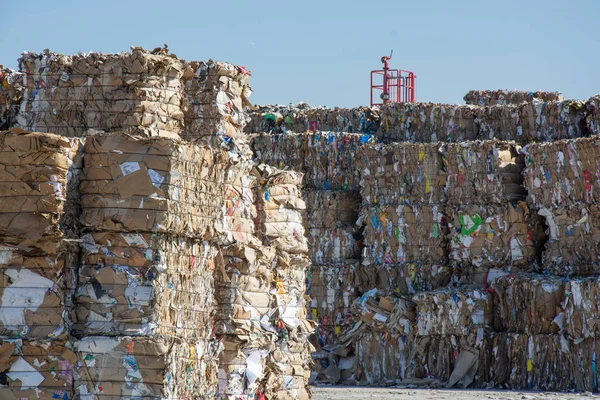 Afvalpapier Wordt Ingezameld Verpakt Voor Recycling Karton Papier Recycling Stockfoto