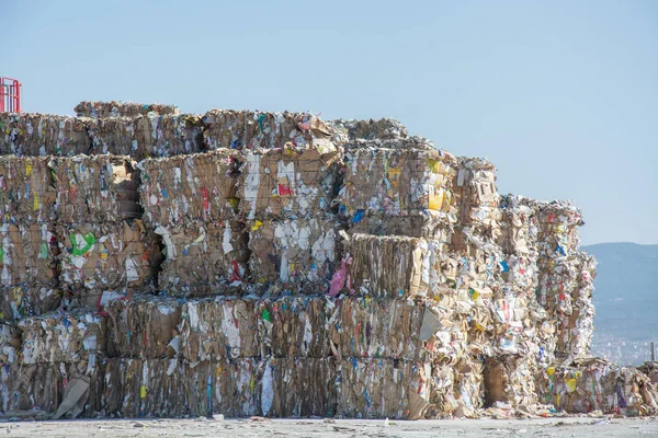 Afvalpapier Wordt Ingezameld Verpakt Voor Recycling Karton Papier Recycling Stockafbeelding