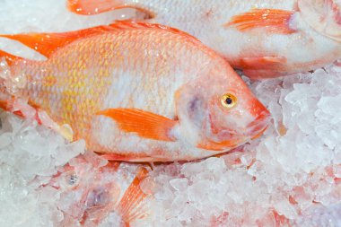 Buz üzerinde taze çiğ deniz levreği. Tayland Pazar