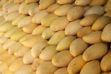 Sarı Tayland mango Tay pazarında
