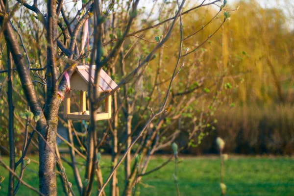 Птичий дом на дереве в парке — стоковое фото