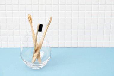 Banyo Cam Kupası diş fırçaları