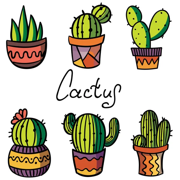 Cactus en succulente installatie in bloempot — Stockvector