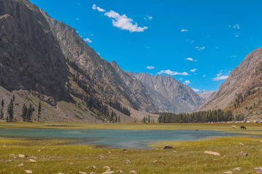 Dağların ve nehrin güzel manzarası