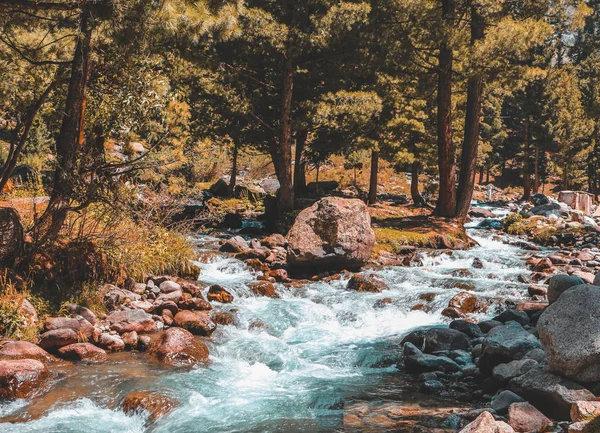 Dağların ve nehrin güzel manzarası