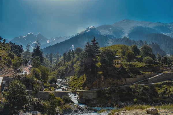 Dağların ve ağaçların güzel manzarası