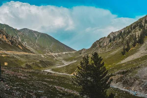 Dağların ve ağaçların güzel manzarası