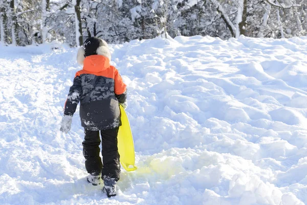 Tepeye kış eğlenceli bir kızak çekme çocuk