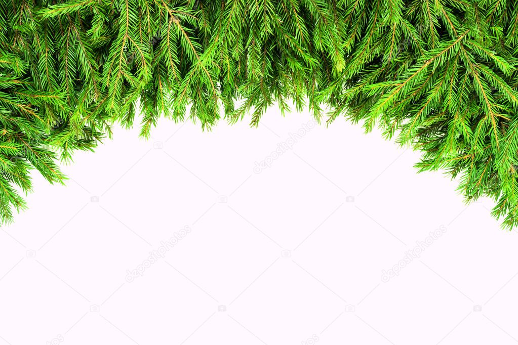 Wide Christmas border arranged with fresh fir branches isolated on white shaped as an arch