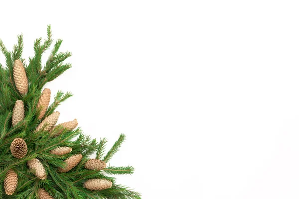 クリスマス ギフト用の箱、マツ円錐形、分離、モミの木の枝を構成するフレーム。コピー スペース フラット横たわっていた、トップ ビュー — ストック写真