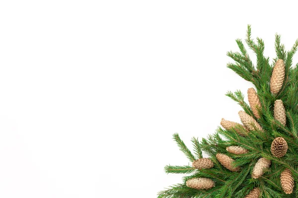 Χριστουγεννιάτικη Σύνθεση Καρέ Κιβώτιο Δώρων Κουκουνάρια Κλαδιά Δέντρων Ελάτης Απομονωμένη — Φωτογραφία Αρχείου