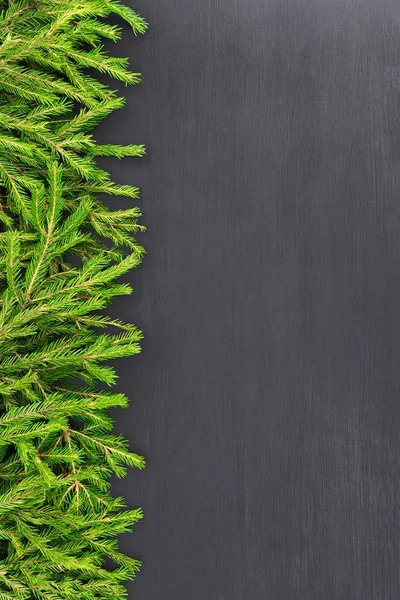 크리스마스 프레임 모양의 어두운 배경에 전나무 분기의 메뉴에 사용할 있습니다 — 스톡 사진