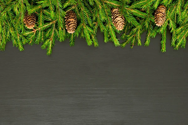 Christmas Border Tree Branches Black Flat Lay Mock — Stock Photo, Image