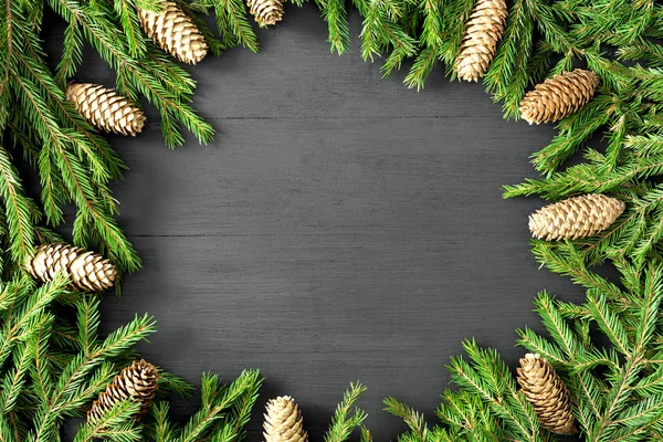 Christmas round frame of winter tree branches with cones on white background. Festive winter background.