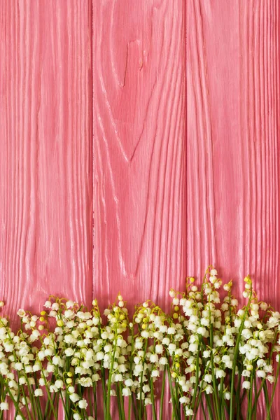 Fondo de primavera, flores frescas lirio del valle sobre fondo rosa . — Foto de Stock
