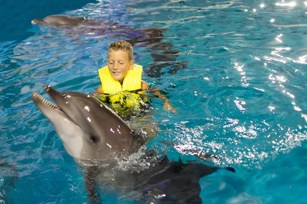 Menino feliz nadando com os golfinhos. Foco selecionado — Fotografia de Stock