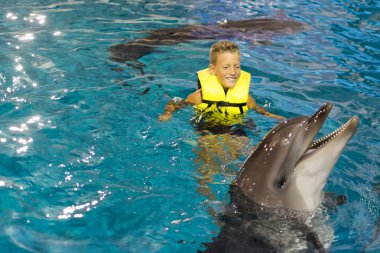 Mutlu küçük çocuk yunuslarla yüzme