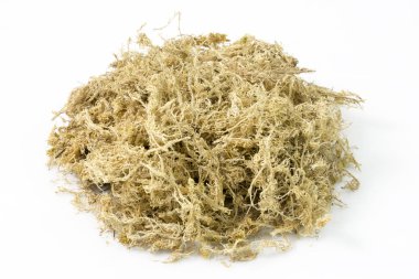 Beyaz üzerinde izole edilmiş kuru sphagnum yosunu yığını
