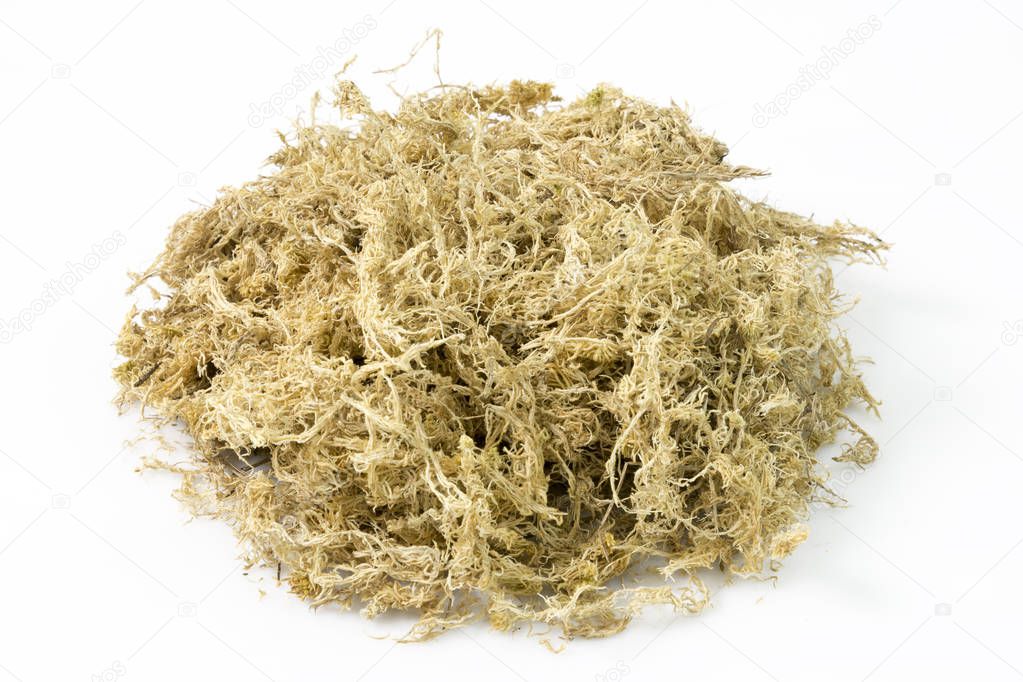 Pile of dry sphagnum moss isolated on white