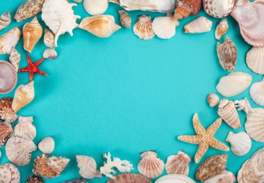 Çerçeve deniz kabuklarını yaptı. Yaz tatillerini, deniz tarafında, kavram seyahat