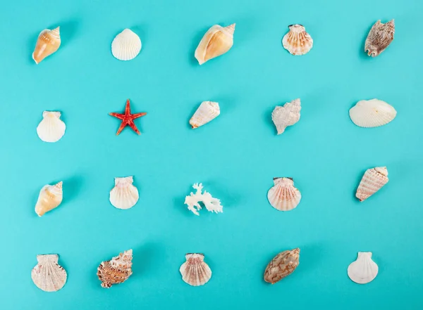 Pattern Made Seashells Summer Vacations Sea Side Travel Concept — Stock Photo, Image