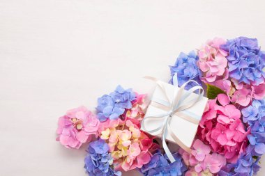 HORTENSIA çiçekler. Kutlama, tebrik ve tatil kavramı