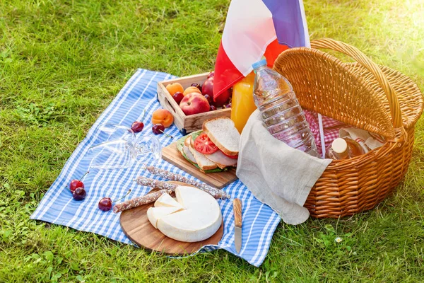 Picnic Festiv Pentru Sărbătoarea Națională Ziua Franței Iarbă Verde Vedere — Fotografie, imagine de stoc