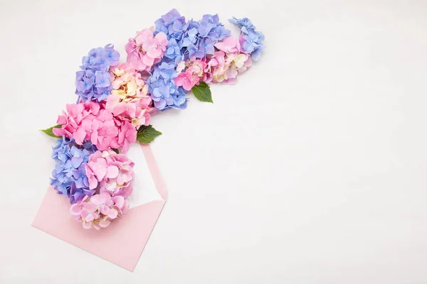 Flores Hortensia Concepto Celebración Saludos Fiestas — Foto de Stock