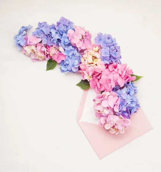 Flores Hortensia Conceito Celebração Saudações Feriados — Fotografia de Stock