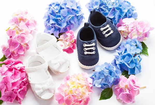 Schattige Pasgeboren Baby Jongen Meisje Schoenen Met Hortensia Bloemen Decoratie — Stockfoto