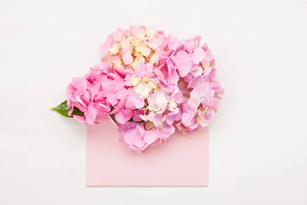 Flores Hortensia Conceito Celebração Saudações Feriados — Fotografia de Stock