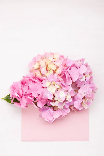 Hortensia Blommor Begreppet Firande Hälsningar Och Helgdagar — Stockfoto