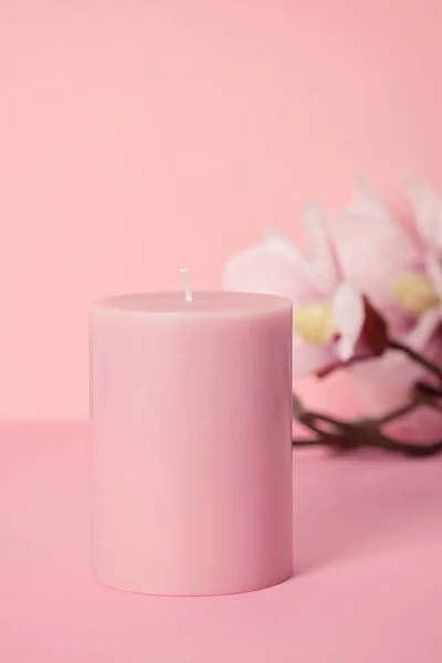 향기로운된 분홍색 파스텔 — 스톡 사진