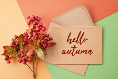 Kağıt arka plan dekorasyon ve kopya alanı ile sonbahar renkleri