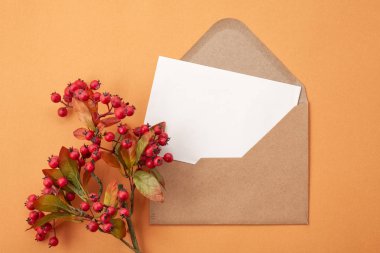 Kağıt arka plan çilek ve kopya alanı ile sonbahar pastel renklerde