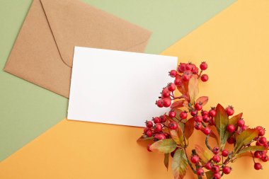 Kağıt arka plan dekorasyon ve kopya alanı ile sonbahar pastel renklerde