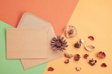 Kağıt arka plan dekorasyon ve kopya alanı ile sonbahar pastel renklerde