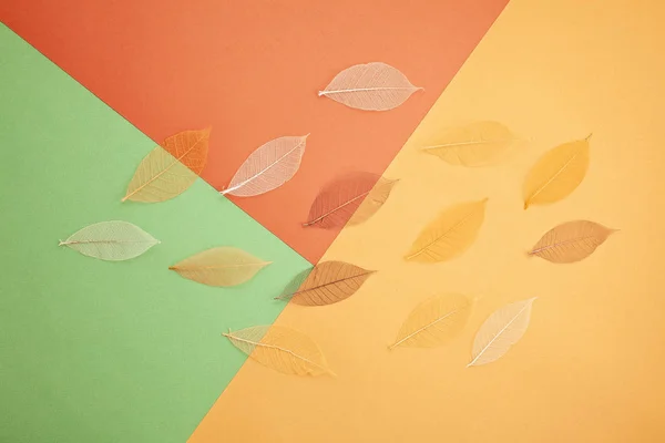 Fond Papier Aux Couleurs Automnales Avec Feuilles Sèches Espace Copie — Photo