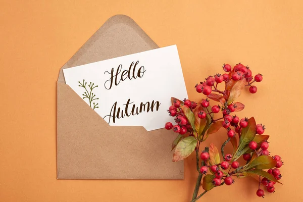 Бумажный Фон Осенних Цветах Оформлением Текстом Hello Autumn — стоковое фото