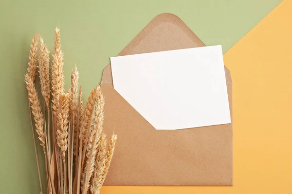 Kağıt Arka Plan Buğday Kopya Alanı Kulaklı Sonbahar Pastel Renklerde — Stok fotoğraf