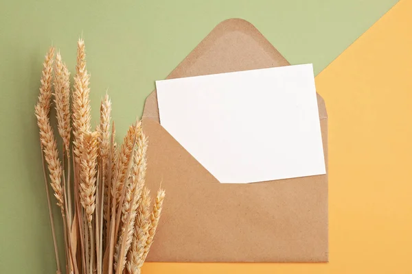 Papierhintergrund Herbstlichen Pastellfarben Mit Ähren Und Kopierraum — Stockfoto