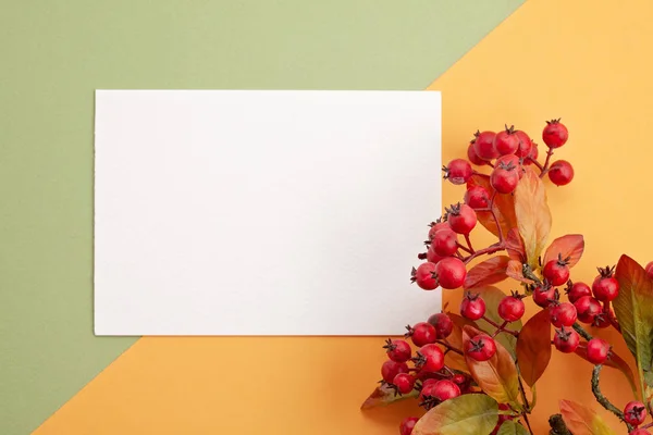Kağıt Arka Plan Dekorasyon Kopya Alanı Ile Sonbahar Pastel Renklerde — Stok fotoğraf