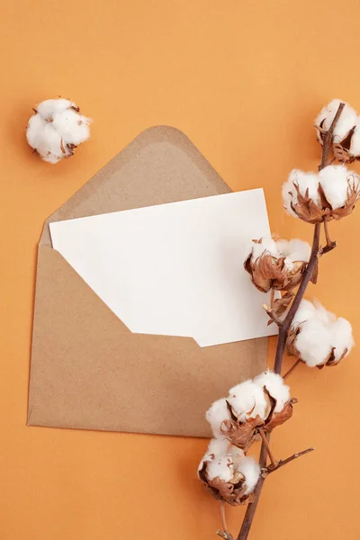 Papierhintergrund Herbstlichen Pastellfarben Mit Baumwollblumen Und Kopierraum — Stockfoto