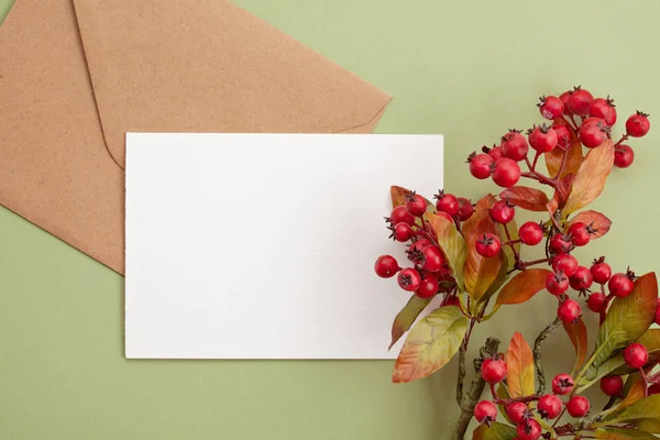 Papierhintergrund Herbstlichen Pastellfarben Mit Dekoration Und Kopierraum — Stockfoto