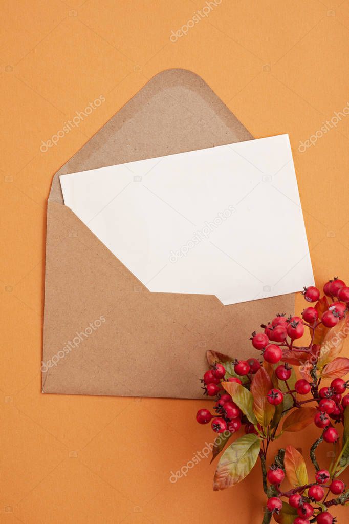 Paper background in autumn pastel colors with berries and copy space