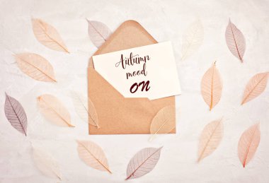 Arka plan yaprakları ile sonbahar pastel renkler içinde mektup ve kopyalama alanı.