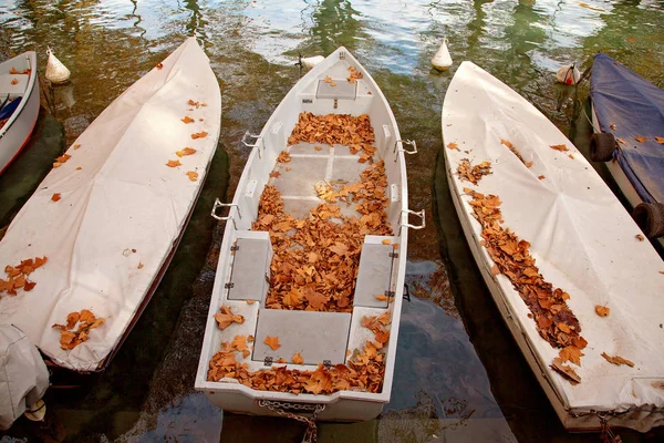 Barcos Canal Con Hojas Otoño Caídas Temporada Otoñal Dorada — Foto de Stock