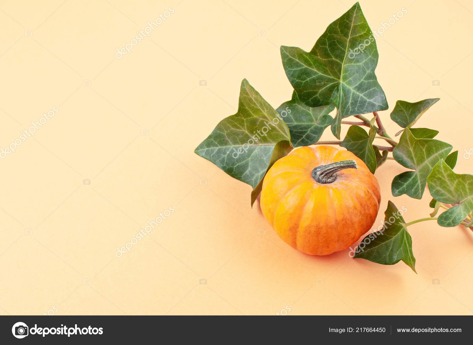 Pumpkin Leaf Template