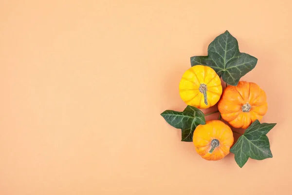 Flat Lay Made Pumpkins Leaves Color Paper Background Copy Space — Stock Photo, Image