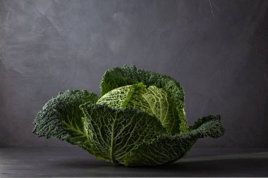 Savoy lahana taze yeşil başının üzerine gri arka plan. Organik Tarım, tarım, alışveriş, sağlıklı yemek kavramı